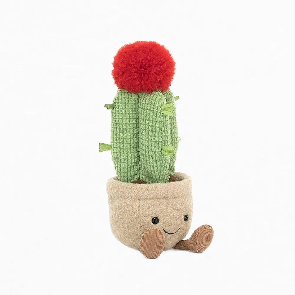 Amuseable Moon Cactus