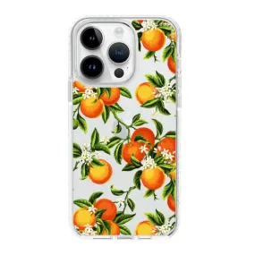 iPhone Case - Oranges On A Branch Mandarin Tree Tangerine